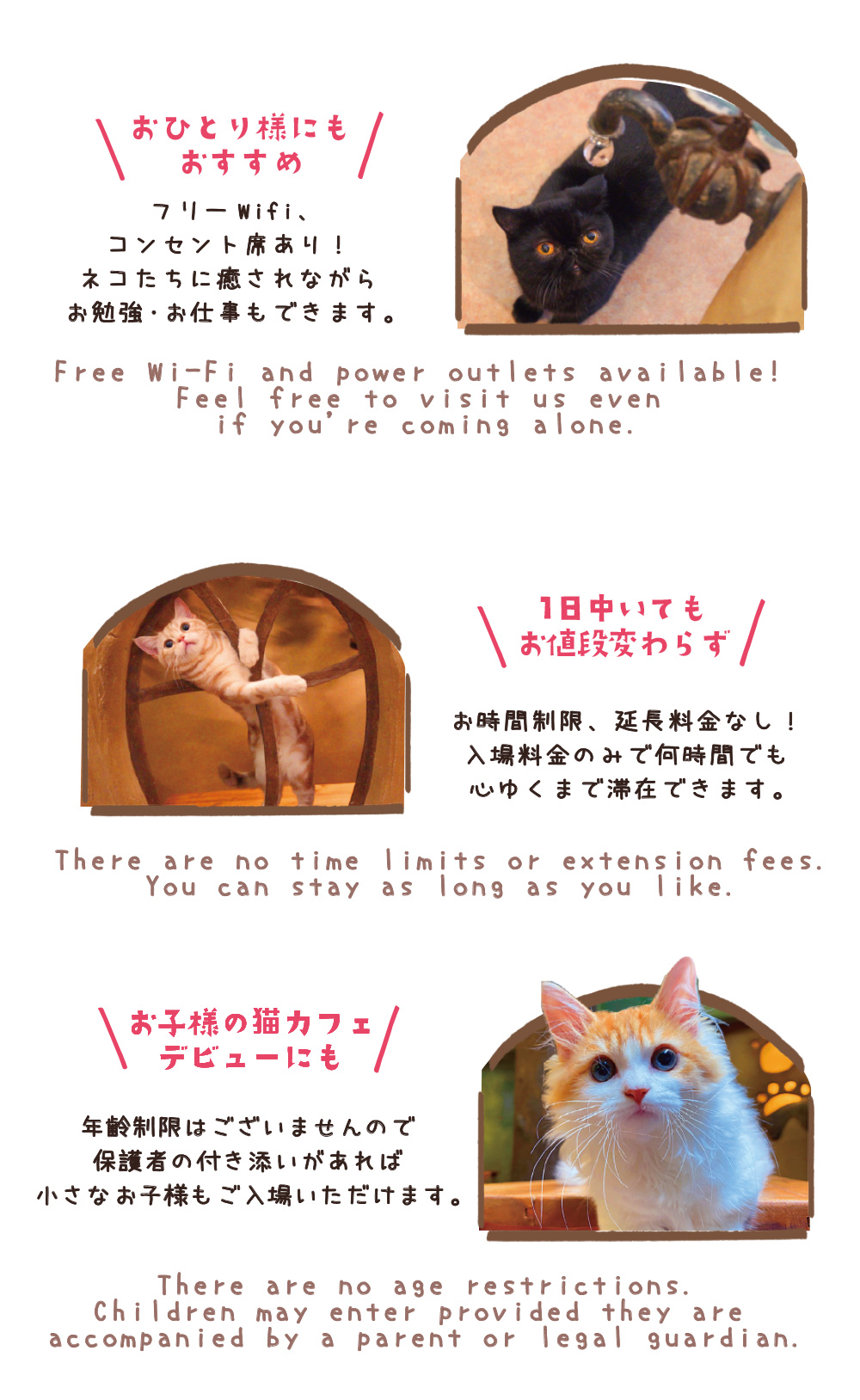 入場のご案内