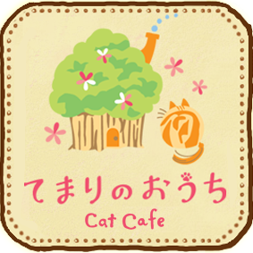 CatCafeてまりのおうち