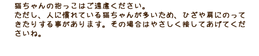 人に慣れている猫ちゃんが多いため、優しく抱っこしてあげて構いません。 ただし、抱っこが苦手な子もいますので、そういう子の場合はそっと見守ってあげてください。