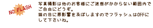 写真撮影は他のお客様にご迷惑がかからない範囲内でご自由にどうぞ。その際はフラッシュをＯＦＦにして下さいね。