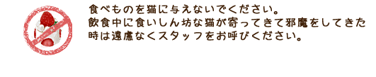 食べものを猫に与えないでください。飲食中に食いしん坊な猫が寄ってきて邪魔をしてきた時は遠慮なくスタッフをお呼びください。