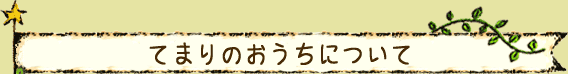 てまりのおうちについて