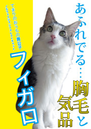 フィガロ