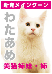 わたあめ_A5