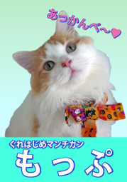 もっぷ