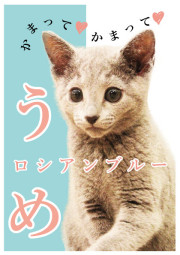 うめ_A5