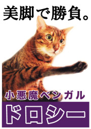 ドロシー_A5