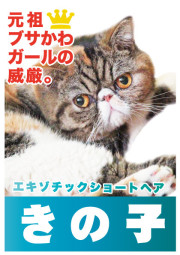 きのこ_A5