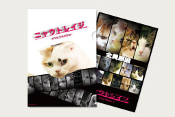 クリアファイル 全員悪猫