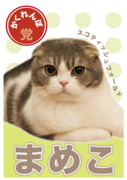 まめこ_A5