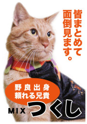 つくし_A5