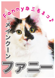 ファニー_A5