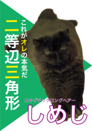 しめじ