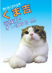 くま吉take2