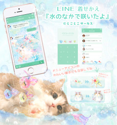 リリー画像