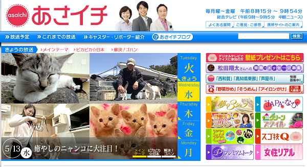 Nhk総合テレビ あさイチ にて出演予定です 不思議なネコの森 てまりのおうち 東京 吉祥寺 猫カフェ