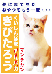 きびたろう_A5