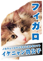 フィガロ_A5