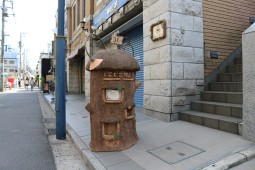 IMG_0229