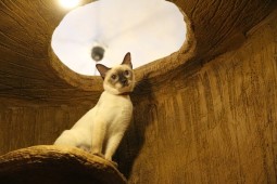 IMG_2153