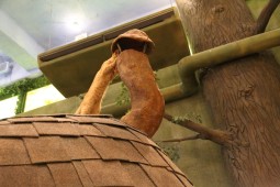 IMG_3211