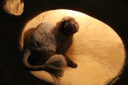 IMG_4847