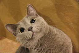 IMG_5935