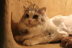 IMG_6137 (1)