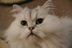 IMG_6598