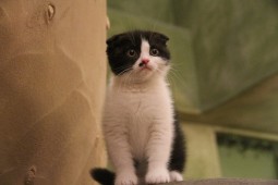 IMG_9262(1)