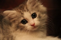 IMG_9944