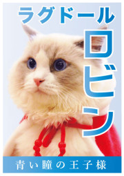 ロビン_A5