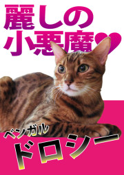 ドロシー