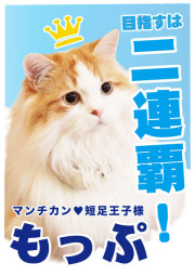 もっぷ_A5