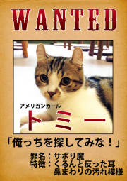 トミー