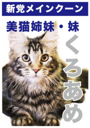 くろあめ_A5