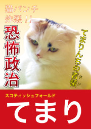 てまり
