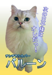 バルーン