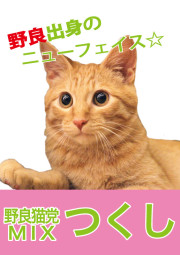 つくし